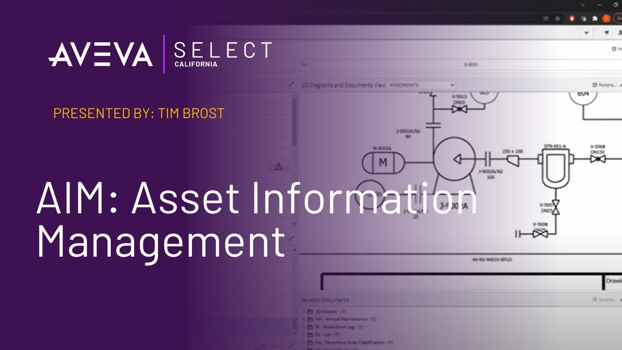 AIM: Asset Information Management
