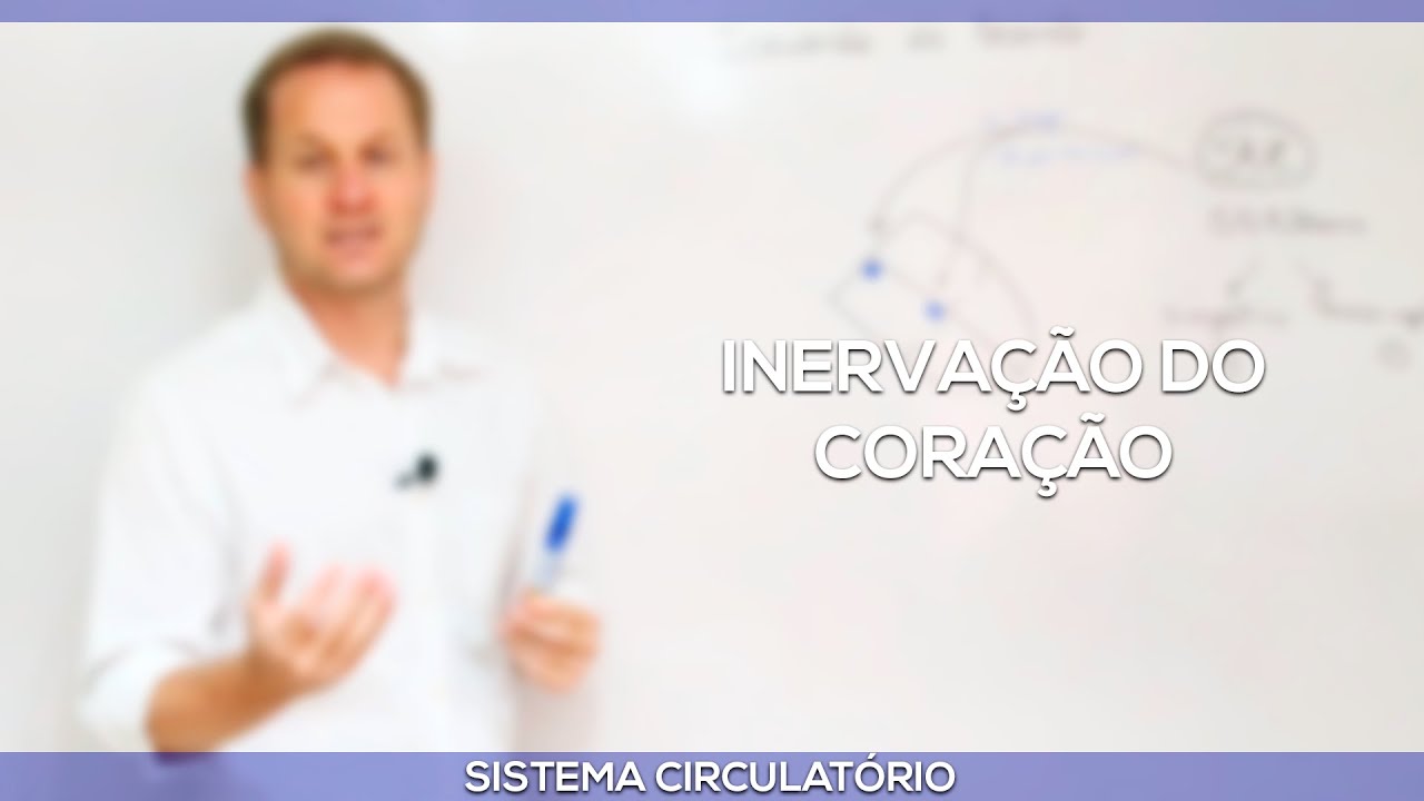 Inervação do coração