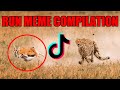 Top 10 TikTok Run Memes AwolNation Run Compilation Run Meme Compilation