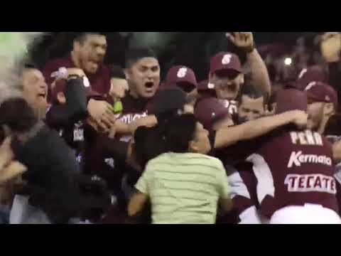 🔝 || TOP 5 || Ponches memorables 🍫💪🏻