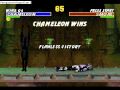 UMKT Chameleon Master Ladder Part2