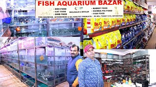 Wholesale Pet Store in Delhi || Cheap & Best Price Store || Wholesale Fish Shop in Ghitorni Delhi