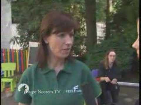 Wave Gotik Treffen 2007 - Teil 4