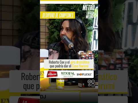 ¿Se vienen MÁS SORPRESAS en el CASO NARUMI?