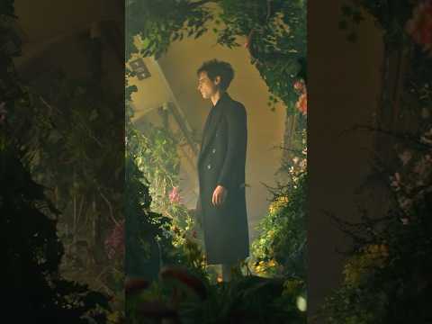 The Sandman S2: Morpheus Ventures into the Realm of Madness