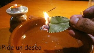 PIDE UN DESEO PARA QUE SE CUMPLA - EL PODER DE LA HOJA DE LAUREL
