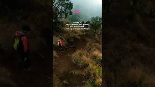 Download lagu Story pendaki gunung - gunung Indonesia #shorts #story #viral  #gunungindonesia #puncakgunung mp3