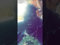 Is Shatta Wale Really High Watch As He Blows Total Nonfa