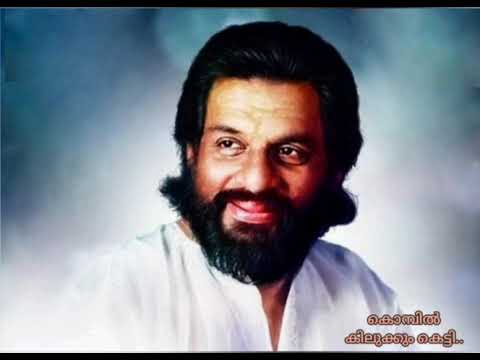 Kombil kilukkum ketti ..