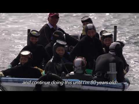 Japan's 'ama' grandmas cling to freediving fishing tradition
