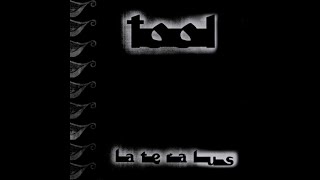 Download lagu Tool - Lateralus [2001] [Full Album] mp3