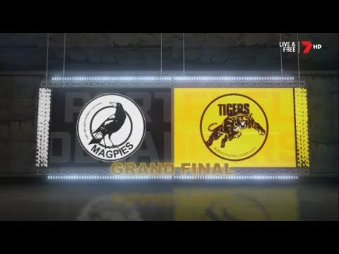 2019 SANFL Grand Final Glenelg Tigers Vs Port Adelaide Magpies Highlights