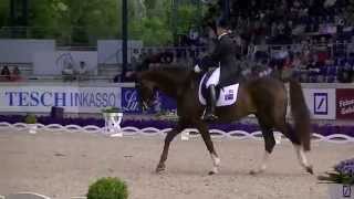 Belissimo M : étalon hanovrien de l'année