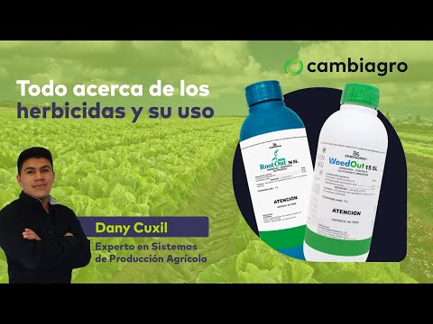 Todo acerca de: Los HERBICIDAS químicos y su uso 🌱