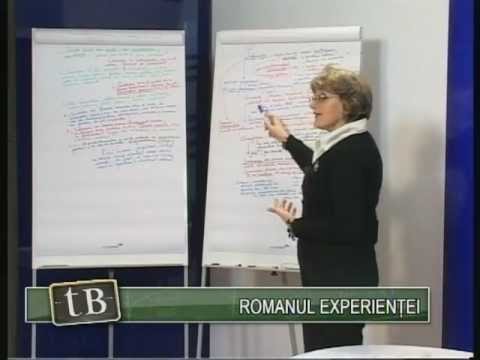 TeleBAC Romana - Romanul experientei by Elena Roata