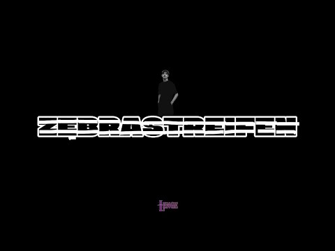 LENGE - ZEBRA STRIPES (OFFICIAL VISUALIZER)