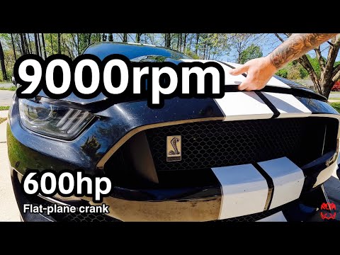 THIS SNAKE BITES - 2019 Shelby GT350 with 600HP that revs to 9000rpm!