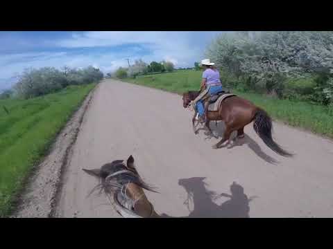 Trains, Fast Food, And Huge Stops On Suits - Day 25