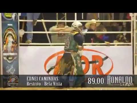 EDNEI CAMINHAS VS RESTRITO - CRP 2014