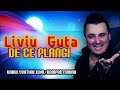 Liviu Guta si Alina - De ce plangi HIT 