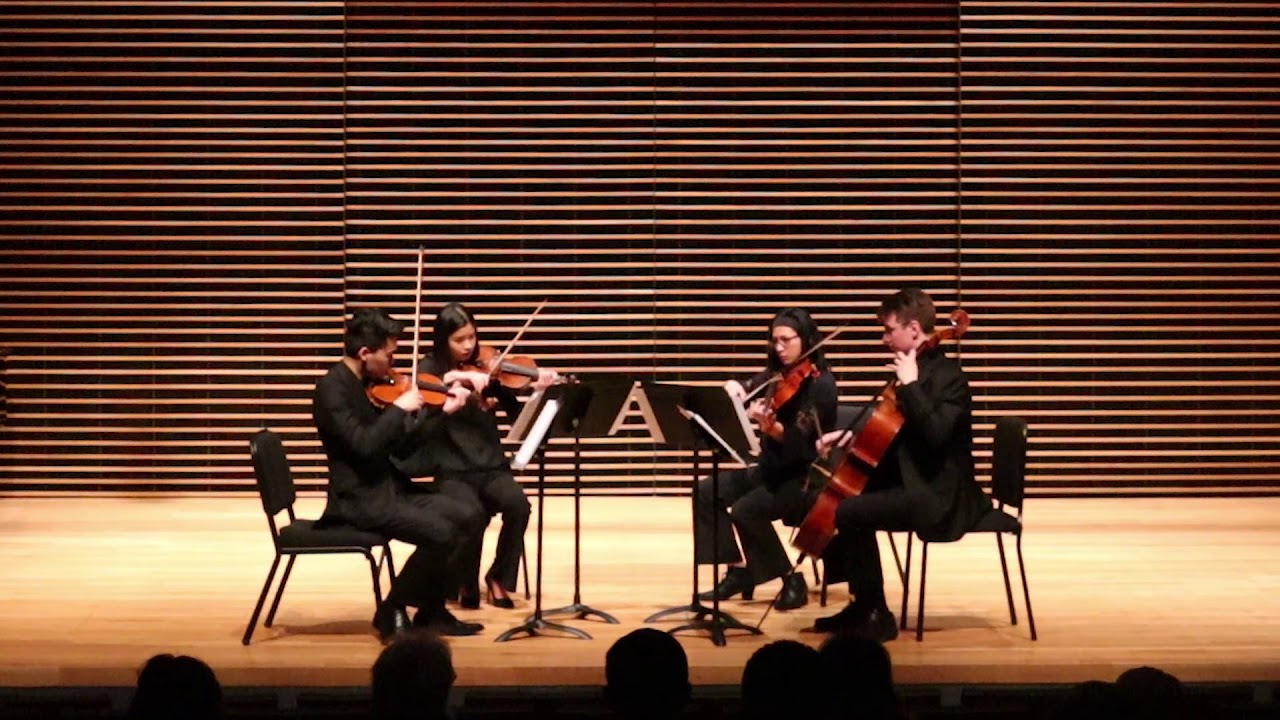 Promotional video thumbnail 1 for The Sylphide String Quartet