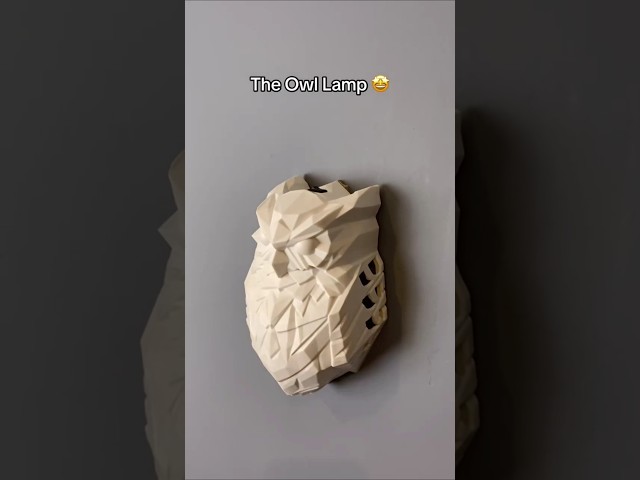 Vídeo relacionado con ZVO Bald Búho Wall Light, 3D Animal Búho LED Aplique de Pared Lámpara de Sombra, Lámpara 3D Águila Decoración de Pared, Estatua Animal de Resina Funciona con Pilas, Luz Nocturna para Jardín