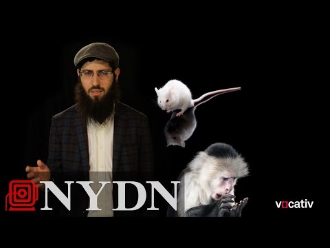 Drug testing in mice : Junk Science Episode 1