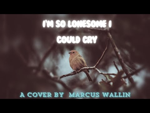 I'm so lonesome i could cry - A cover by Marcus Wallin