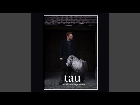 Seltsame Kreise - Tobias Dellit