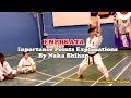 Enpi Kata Importance Points Explanation By Naka Shihan