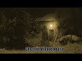 Ghost In Village House Fixed Camera Dark Ghost Stories Paranormal Activity