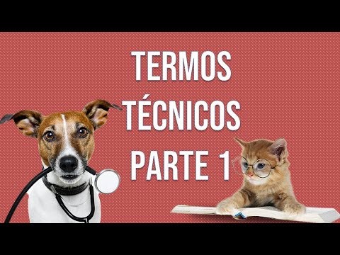 TERMOS TÉCNICOS - MEDICINA VETERINÁRIA | #estudeveterinario