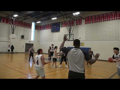 Asanity tier 12 Bumble Bees - tcbl sunday