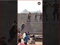 Welcome To Jungle Shooting