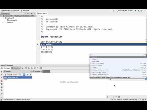 Debugging Code In Swift Using Appcode
