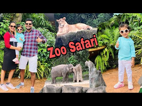 सिंगापूर Zoo सफारी 🦁|Vlog 7 #zoo#singapore#jungle#animals#funday#cutebaby#happy#safari#viral
