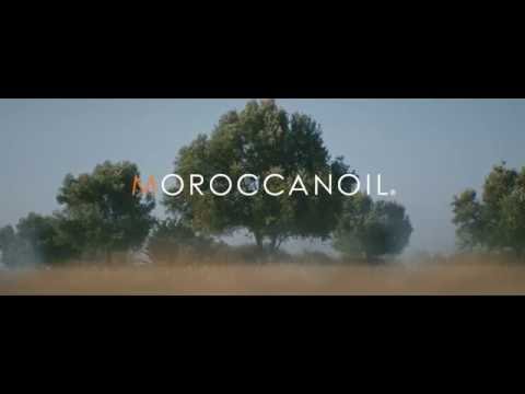 Introducing The Argan Oil Story by Moroccanoil®