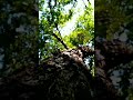 Nature S Reel Instagram Reel Nature Reel