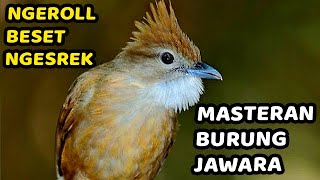 Download lagu MASTERAN KAPAS TEMBAK GACOR DOR TERBARU❗️KAPAS TEMBAK GACOR LAGU DAN SPEED PAS BUAT PANCINGAN mp3 Download lagu MASTERAN KAPAS TEMBAK GACOR DOR TERBARU❗️KAPAS TEMBAK GACOR LAGU DAN SPEED PAS BUAT PANCINGAN mp3