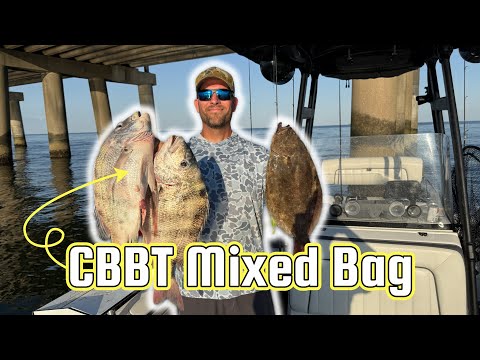 CBBT Sheepshead I Flounder I Blue Fish MIXED BAG! Chesapeake Bay Bridge Tunnel Fishing 