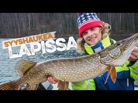 Hauen kalastusta Lapissa - Ennätysten perässä pohjoiseen [ENG SUB]