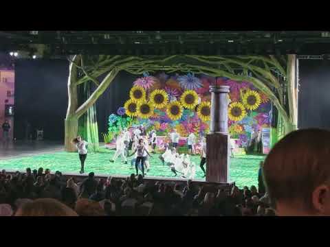 Golden crown run through