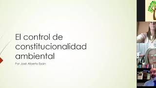 Control de constitucionalidad ambiental y sus especies