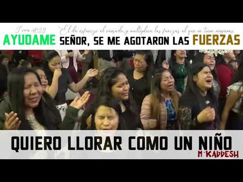 QUIERO LLORAR COMO UN NIÑO - San Francisco - Mkaddesh