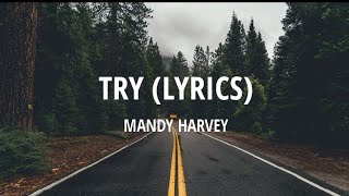 Mandy Harvey - Try ( Lyrics)