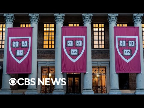 Harvard announces new probe into faculty ties to Jeffrey Epstein