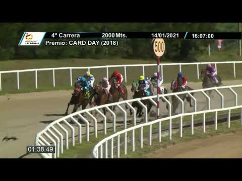 210114 c04 - HALACAZAN (BRZ) - HIPODROMO LAS PIEDRAS
