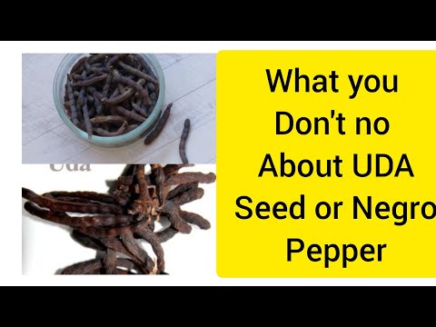 WONDERS OF UDA SEED OR NEGRO PEPPER, THE BENEFITS WILL SURPRISE YOU