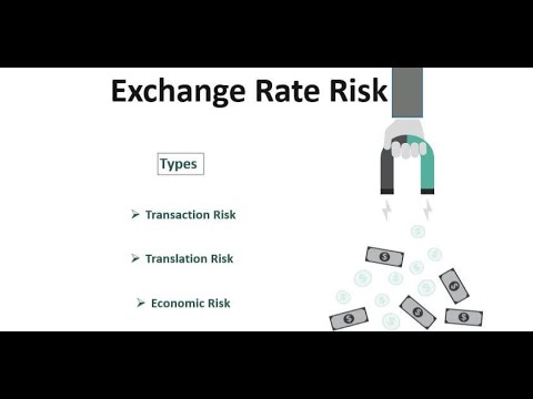 What is Foreign Exchange Rate Risk