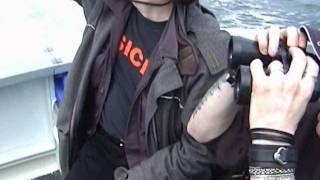 Whale Watching With KMFDM